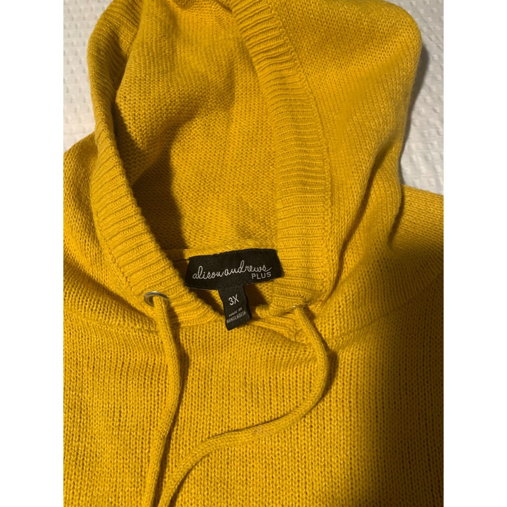 Alison Andrews Plus Colorblock Hooded Sweater Dress Yellow Green‎ Black 3X - Picture 2 of 6